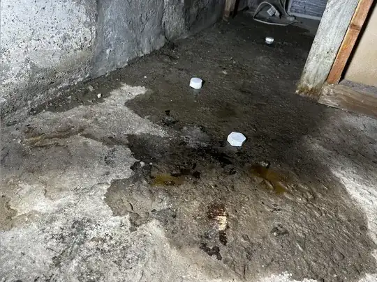 Unfinished Basement