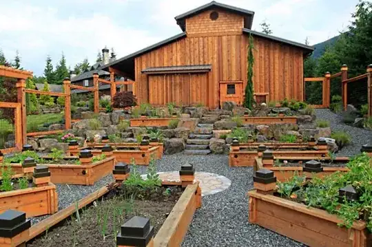 raised bed