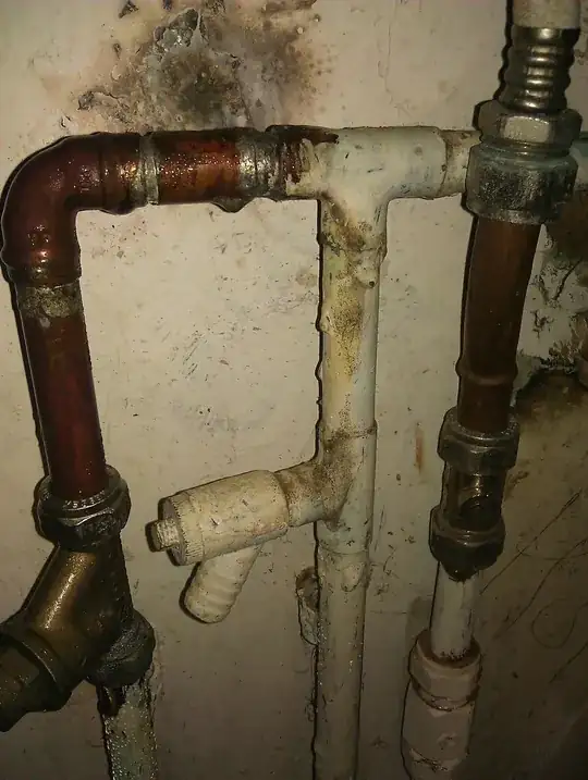 intact closeup