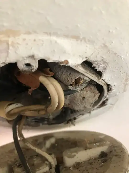 Pole in question