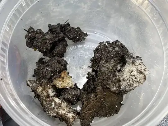 Chunks of the clogging substance