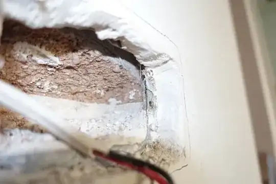 behind the wall