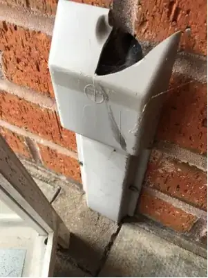 Neck Caliper