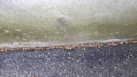 a wall with what appears to be mottled grey and green discoloration, and pock-marks, near its bottom