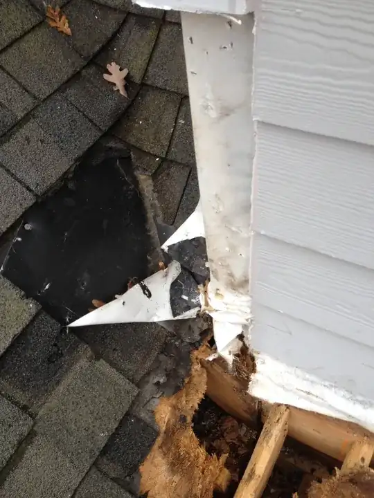 More photos