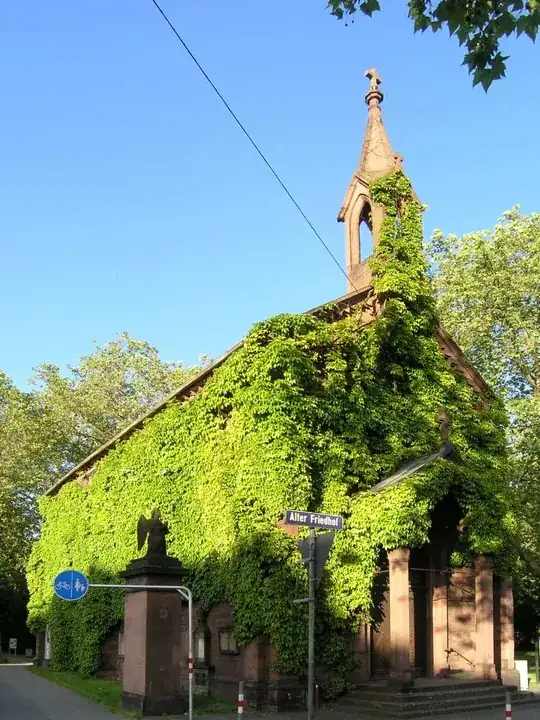 ivy-covered buidling