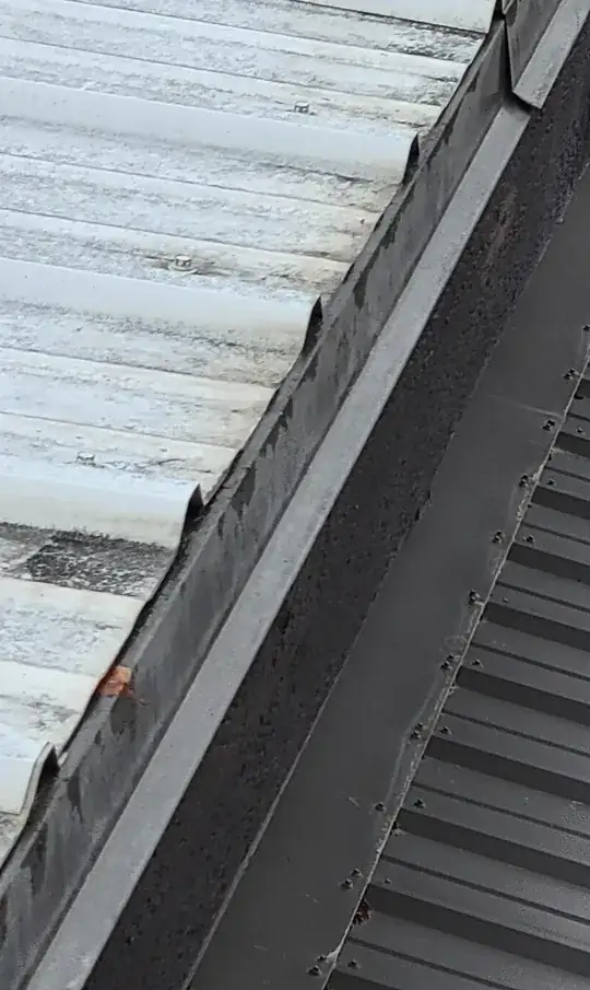 Roof Line