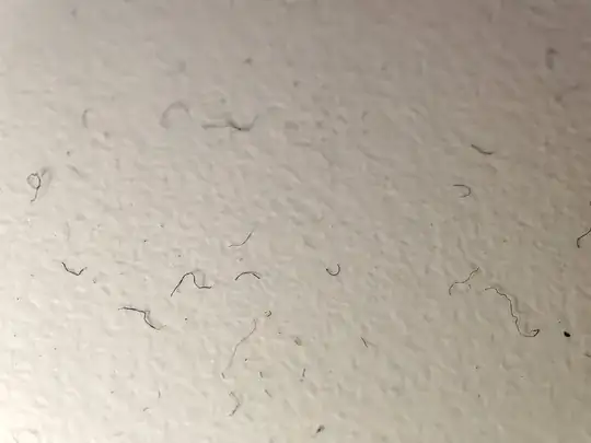 A zoomed in picture