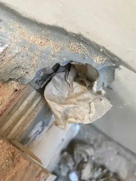 solenoid valve after cleaning