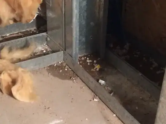 close up of drain