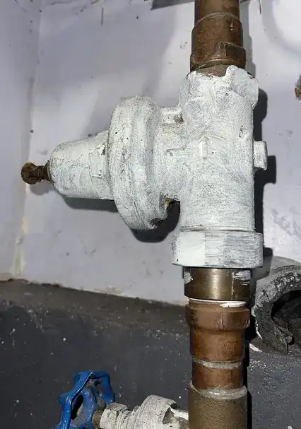 Steadywash