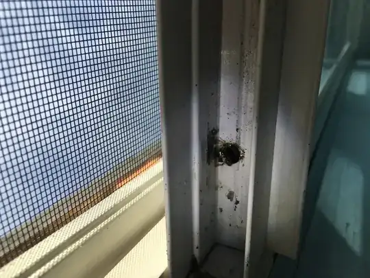 Leaky Window
