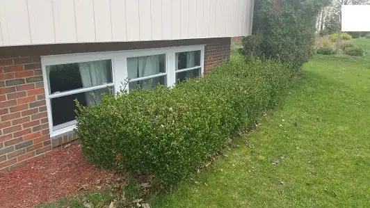 Front Right