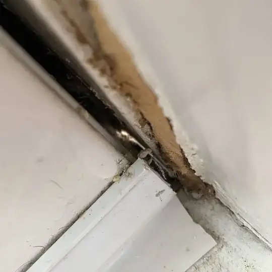 gap