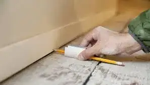 pencil scribe