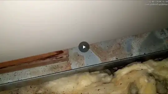 Screen cap from video I took of all the stupid in the attic. There was a lot of stupid in the attic.