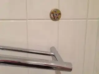 pic of towel rack 4