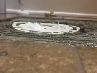 Toilet flange