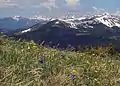 Alpine tundra in Colorado