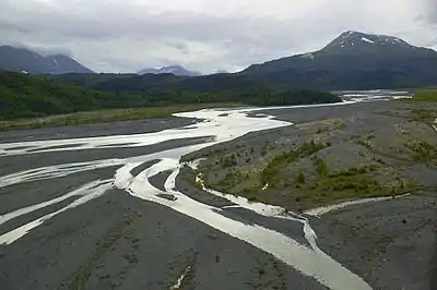 Braided river outwash plain with extensive patches of river shingle