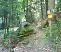 1446482596&nbsp;1446482596