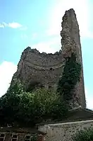 Ruine du donjon de Maurepas