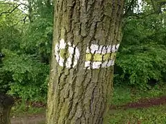 One example for Feature : Walking Routes