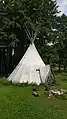 Tipi (teepee) used for tourism accomodation