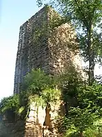 Burg Rieneck - Bergfried