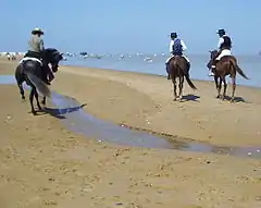 One example for Característica : Equitación