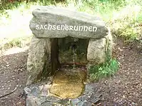 Spring capture in Germany