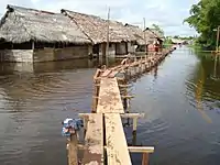 Techo cubierto de hojas de palmeras