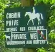 Horseback riders only