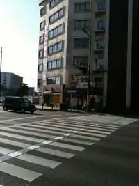 Japanese zebra crossing with tactile paving.