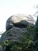 1885717635&nbsp;1885717635