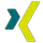 Xing user
