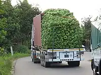 logistics=hgv cargo=banana